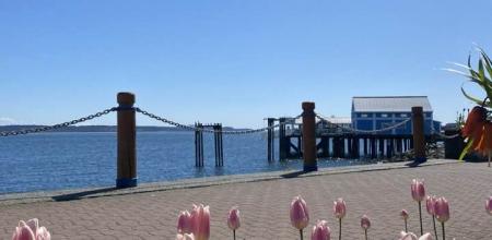 Waterfront five-minute walk from the apartment