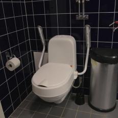 The seat elevation/grab bars can be removed