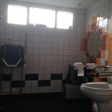 electric high/low toilet and doucheseat.