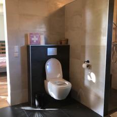 toilet