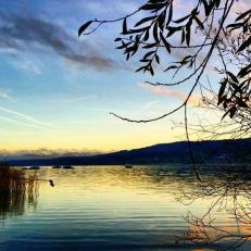 Nearby lake (1km, minimal slope to get there)))