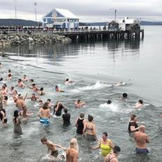 Polar bears swim January 1st