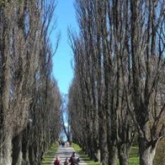 Botanisk hage