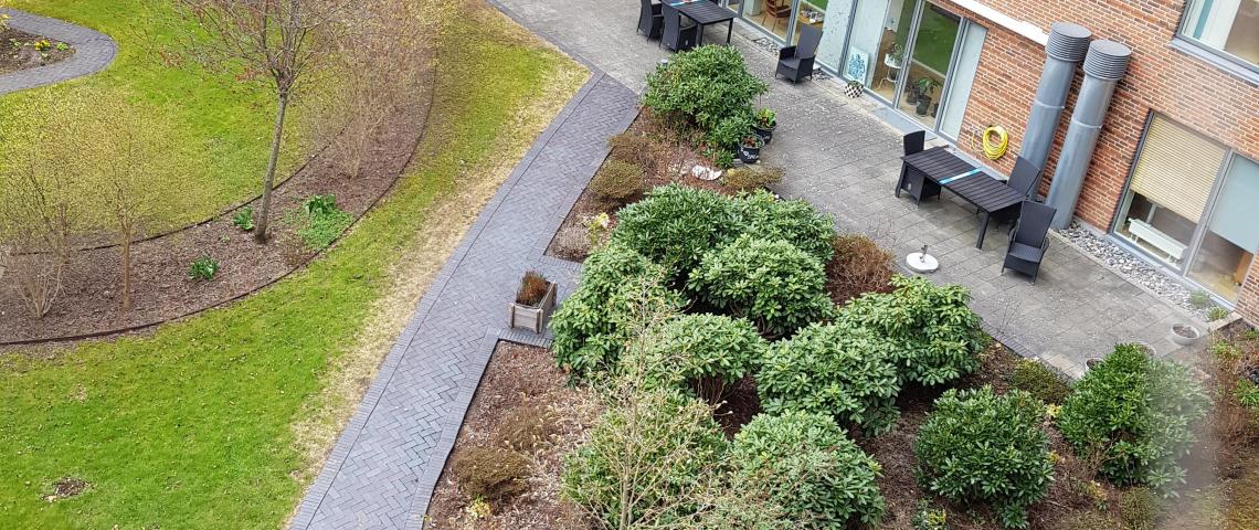 View of the garden from the balcony