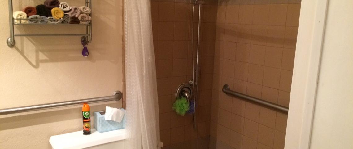 Roll in shower with grab bars