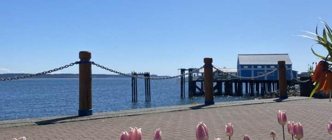 Waterfront five-minute walk from the apartment